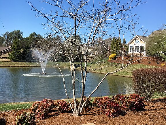 Outstanding landscaping