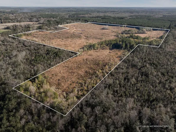 Hattie Ln, Columbia, MS 39429