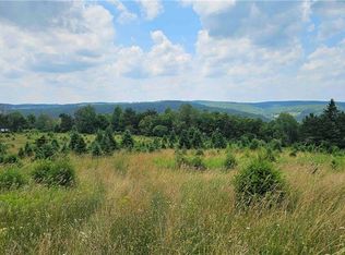 217 Sherder Rd, Endicott, NY 13760