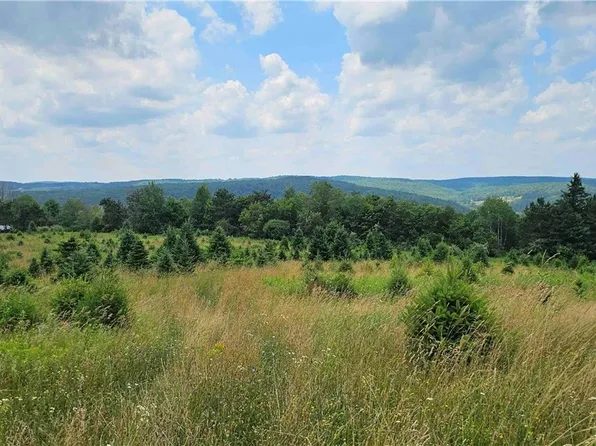 217 Sherder Rd, Endicott, NY 13760