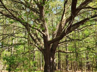 4400 FALCON RUN Lane, Middleburg, FL 32068