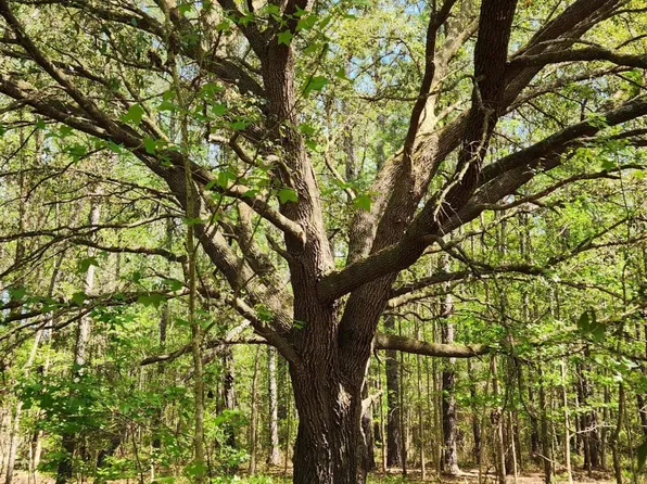 4400 FALCON RUN Lane, Middleburg, FL 32068