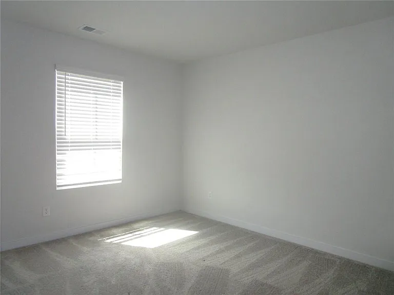 5234 Mulberry Creek Way — Photo 23
