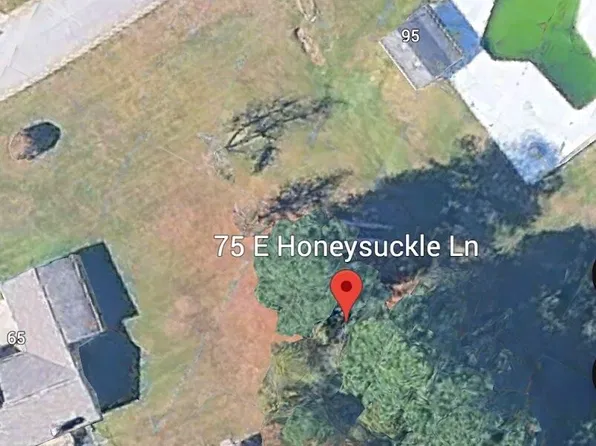75 E Honeysuckle Ln, Carrollton, GA 30116