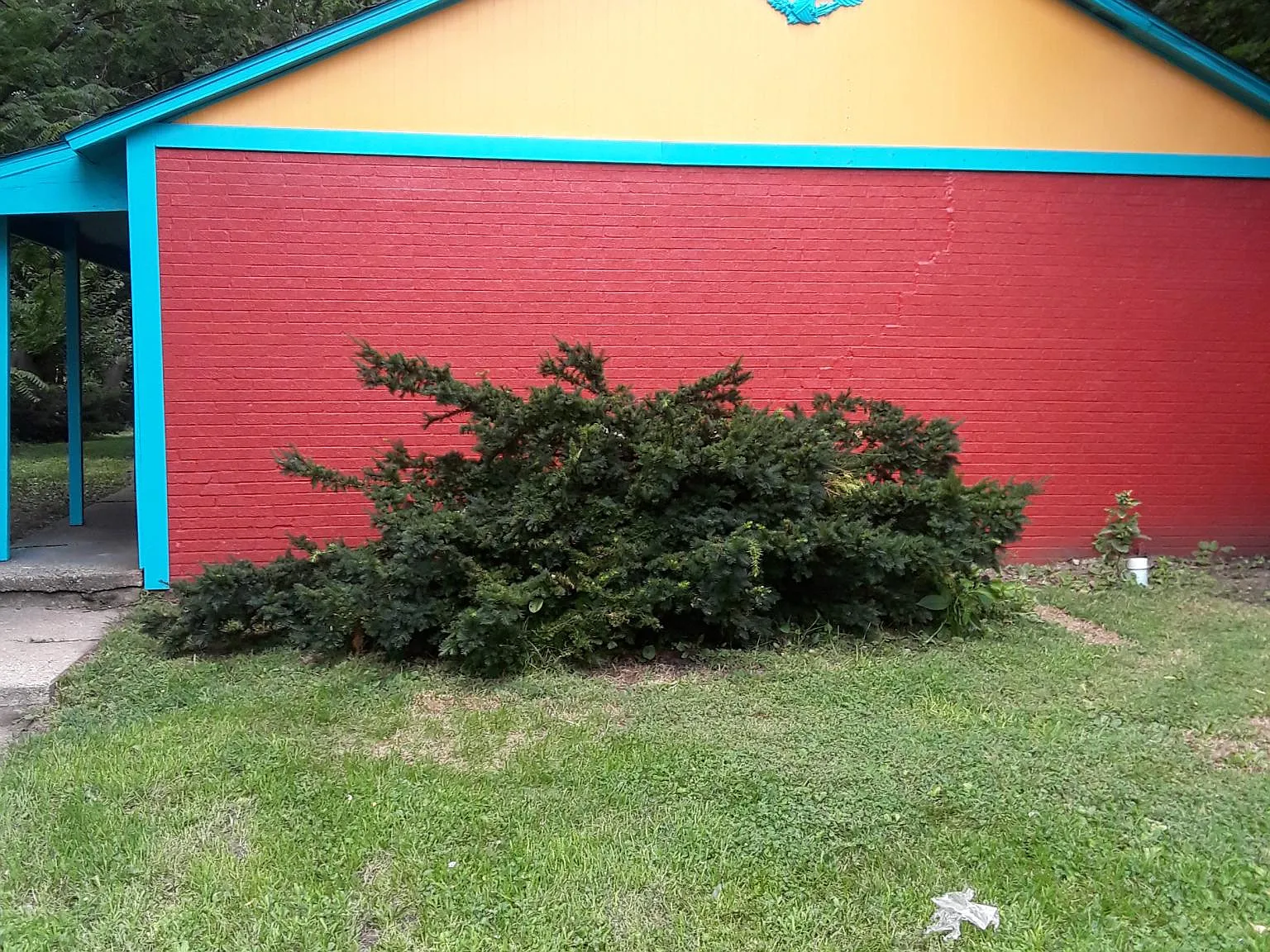 2 bed, 800 sqft, $900 — Photo 3