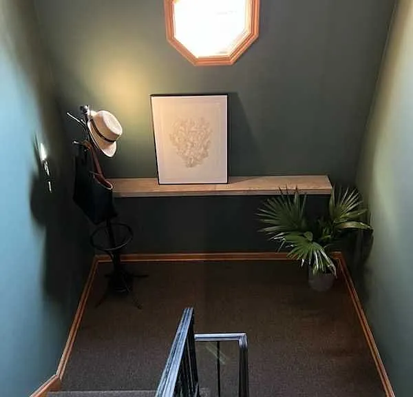 Newly painted hallway with new carpeting
