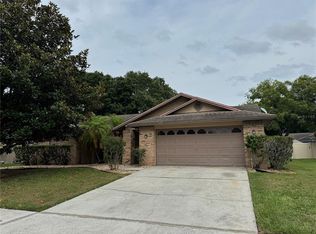 3005 Starmount Dr, Valrico, FL 33596