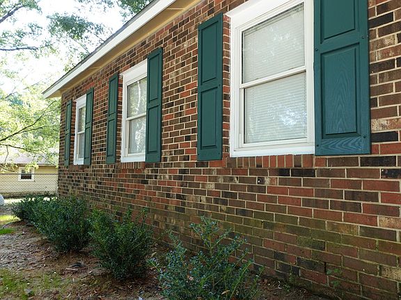 Newly planted hedges