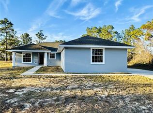 16245 SE 113th Street Rd, Ocklawaha, FL 32179