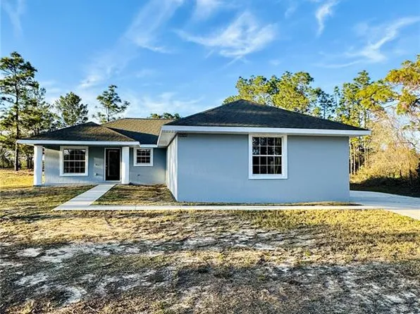 16245 SE 113TH STREET ROAD, OCKLAWAHA, FL 32179