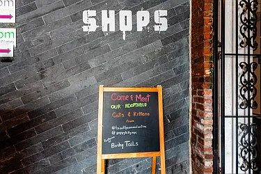 Rented by MySpaceNYC