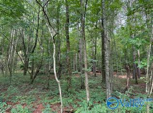 45 County Road 458, Collinsville, AL 35961