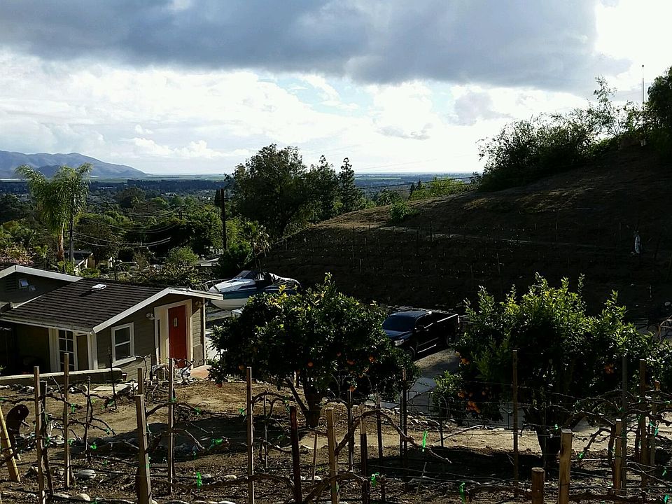View from vineyard