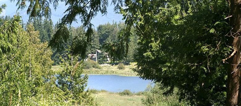 View of Lake from property