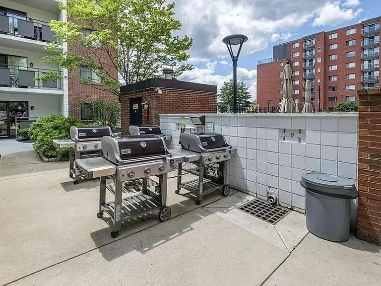 Weber gas grills