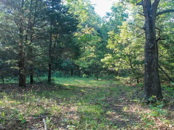 0 SE 150 Pvt Rd, Osceola, MO 64776