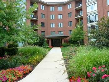 1st image of 865 E 22nd St APT 508