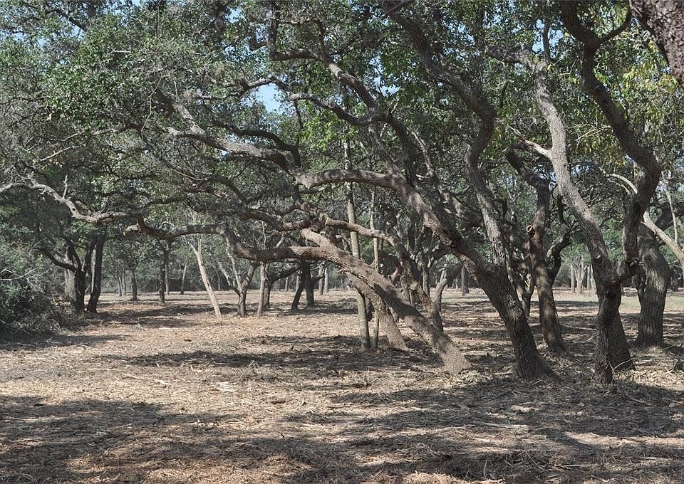 1st image of Fm 1447 E