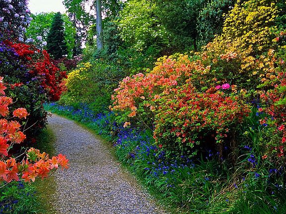 Nice Garden Walks