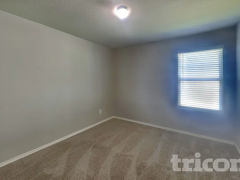 8511 Amistad Cv — Photo 11