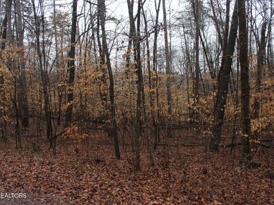 Songbird Ln, Maynardville, TN, 37807