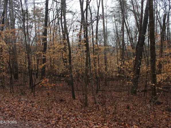 Songbird Ln, Maynardville, TN 37807