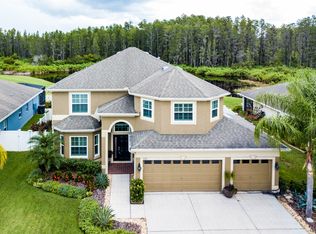 3521 Chessington Dr, Land O Lakes, FL 34638