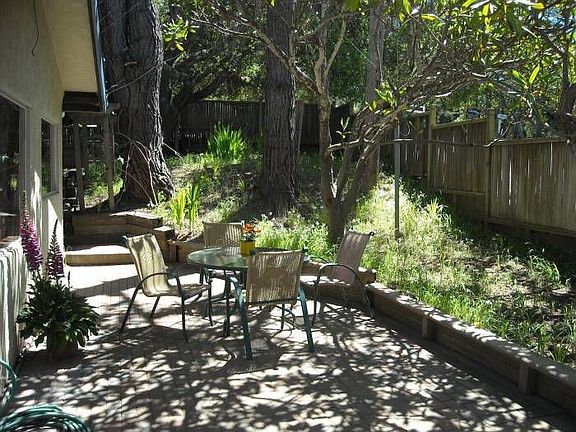 under the Magnolia Tree