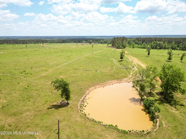 Gleenwood Rd SE, Ruth, MS 39662