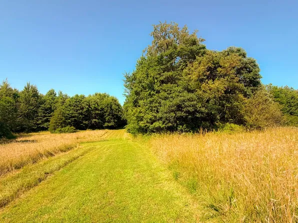 1 Feesburg Poetown Rd, Hamersville, OH 45130