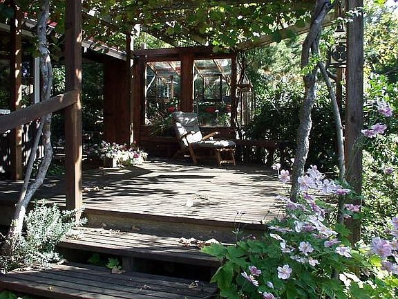 outside deck under the kiwi