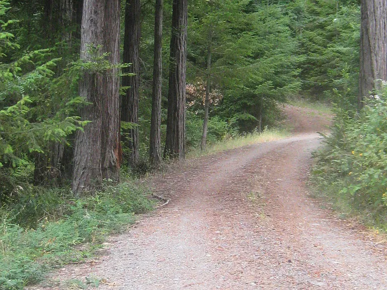 Cazadero Hwy — Photo 28