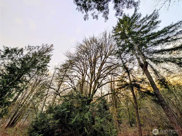 0 Whiteman Road SW, Lakebay, WA 98349