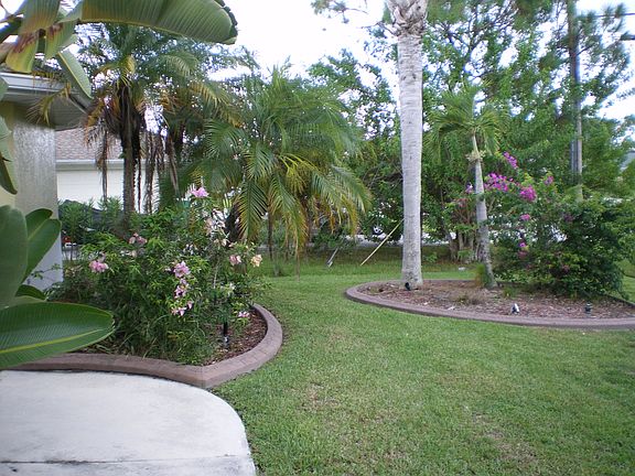 Front Yard