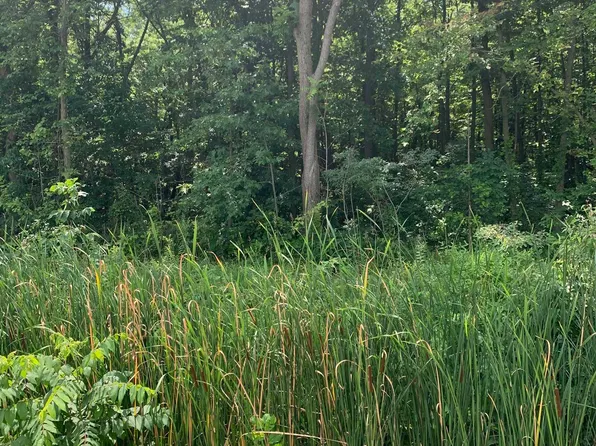 0 E Morocco Rd, Temperance, MI 48182