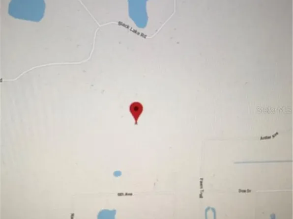 Eucalyptus Paper Ln #11, Osteen, FL 32764