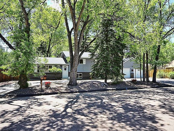 Front island with trees