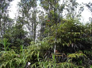 LOT 62 Lot 62, Volcano, HI 96785
