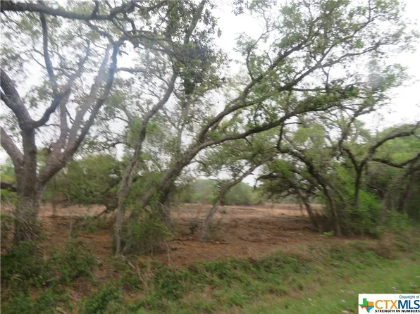 0 E Old Highway Rd, Inez, TX 77968