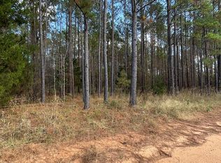 Pessell Creek Estate Ellis Rd, Americus, GA 31719