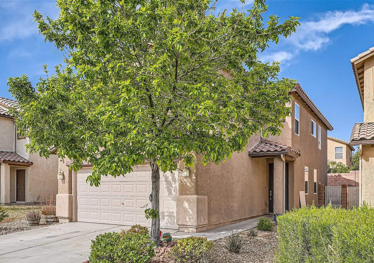 Gilespie/Barbara Terracina Community — Photo 2