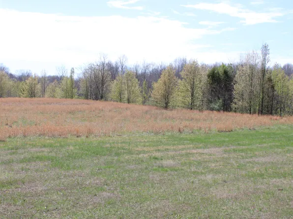 21A1-H-1 Beech St, Kuttawa, KY 42055