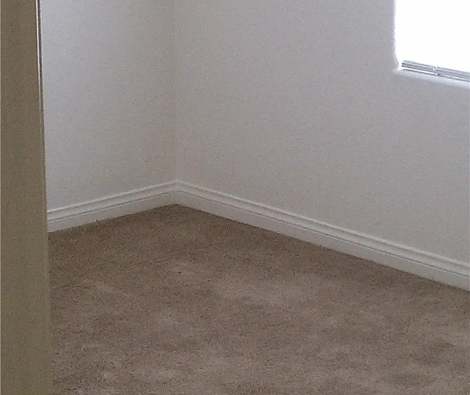 5493 Ovando Way — Photo 15