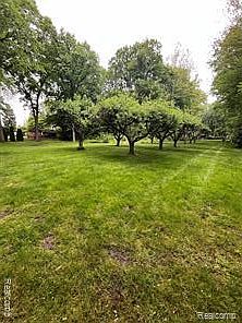 2nd image of 0 Camellia Ln