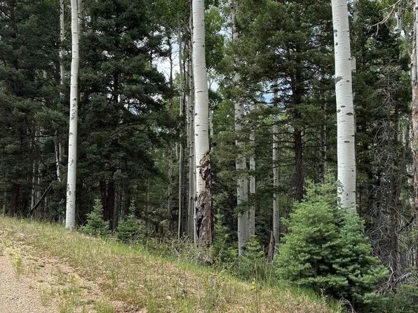 Lot 4 Back Basin Road, Angel Fire, NM 87710