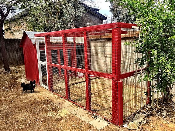 Chicken coop