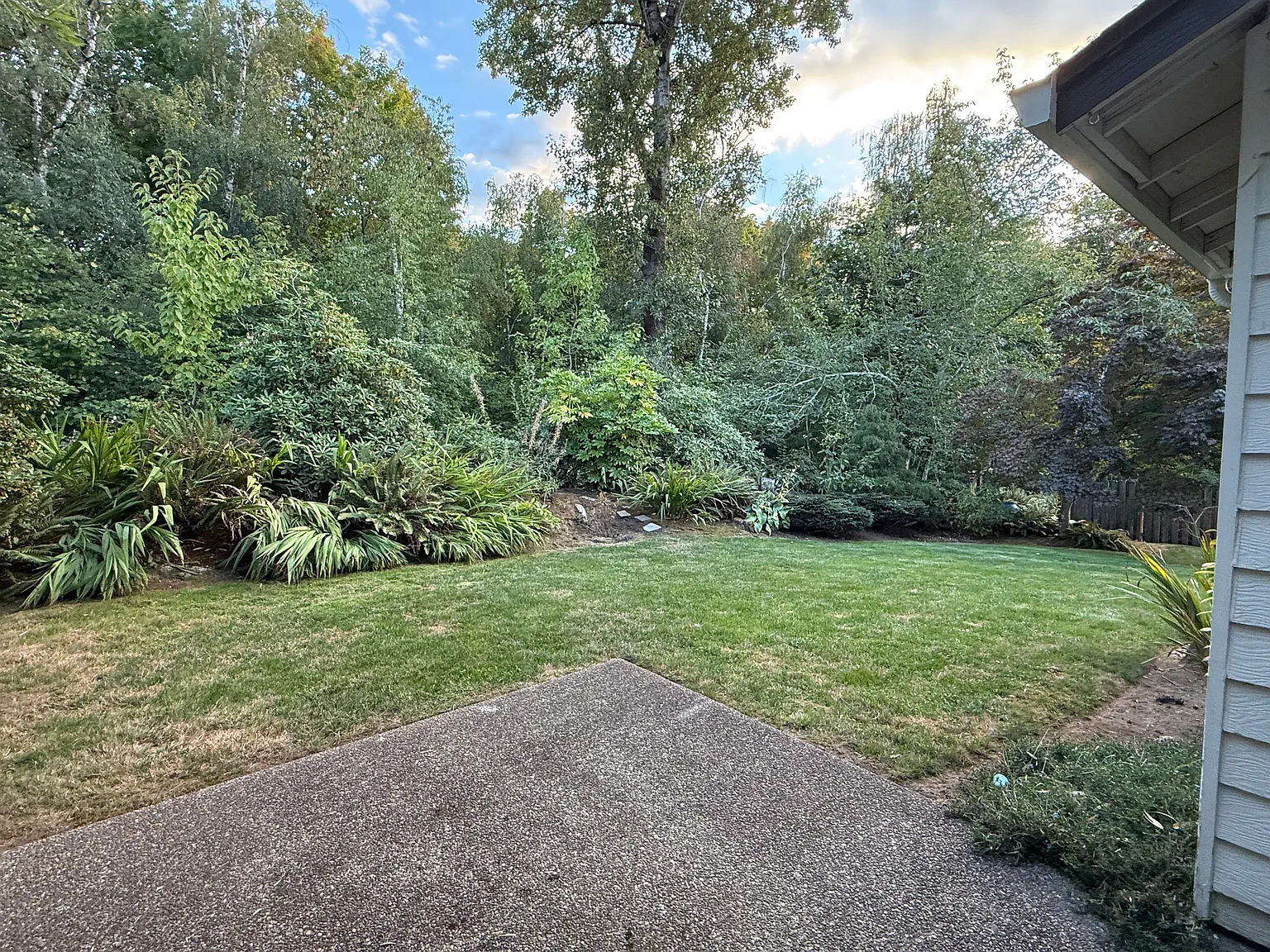 4 bed, 2389 sqft, $3,350 — Photo 3