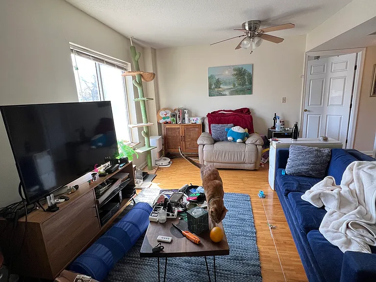 340 Franklin St #3 — Photo 7