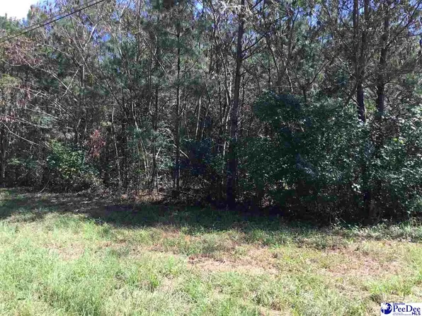 517 London Ave, Lake City, SC 29560