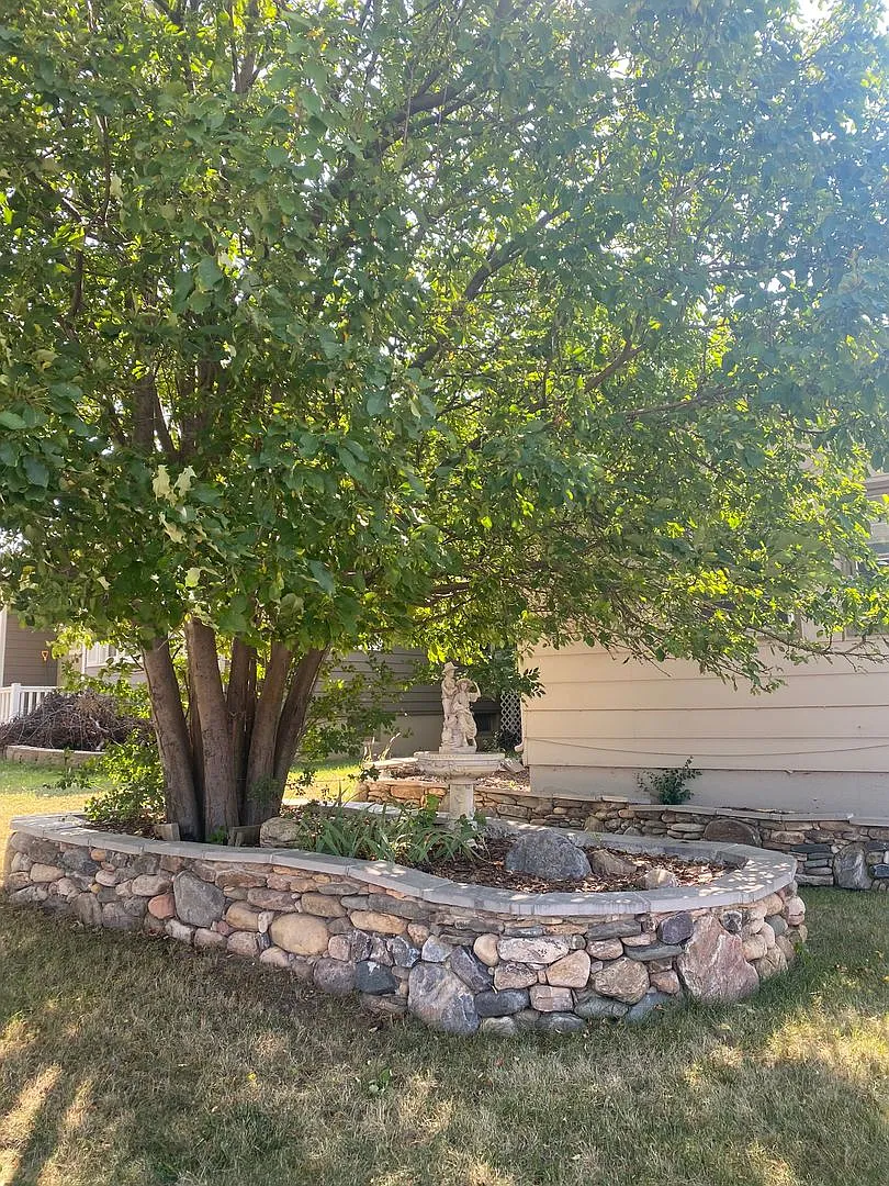 4 Bed | 1.5 Bath | Home | Carport | West — Photo 3